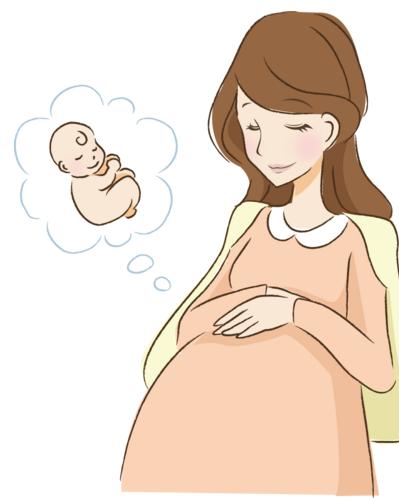 最新劳动合同法解读与概述