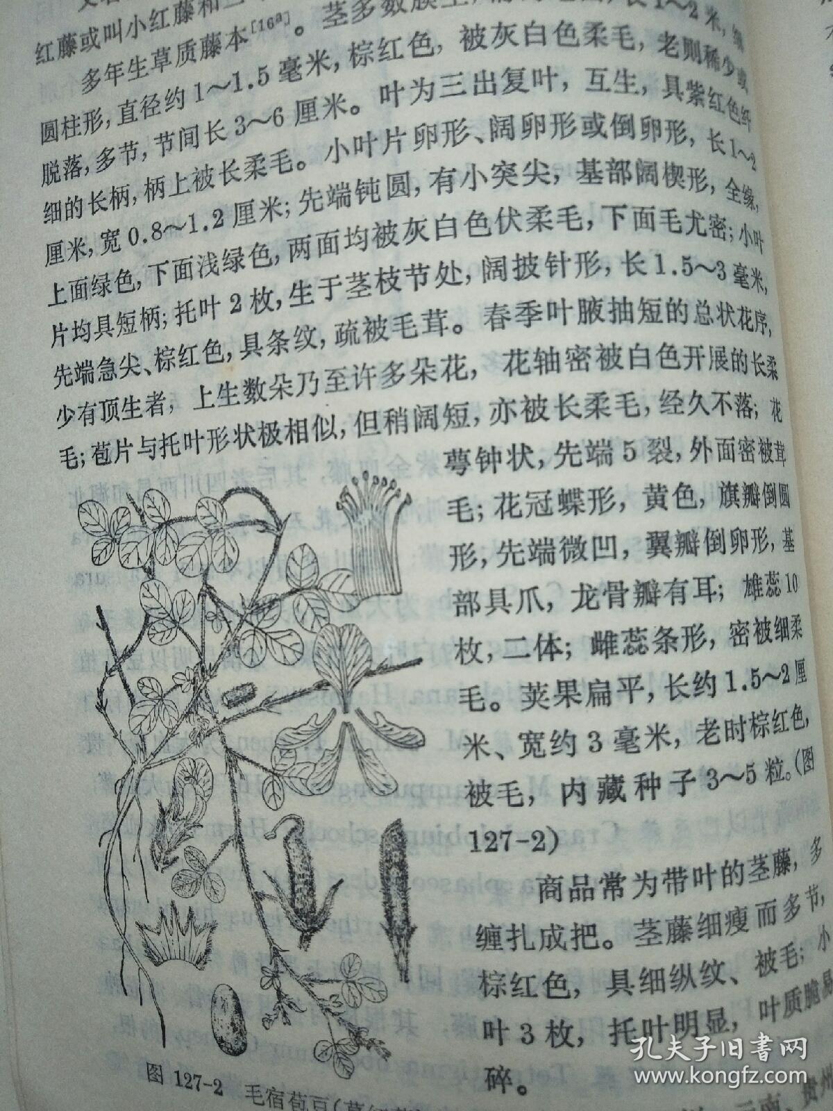 单曹路最新论述分析