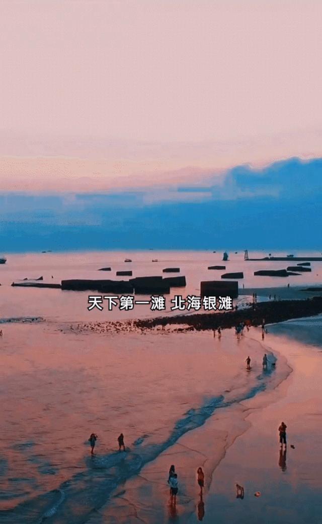 应县新闻速递，最新动态一览无余📢
