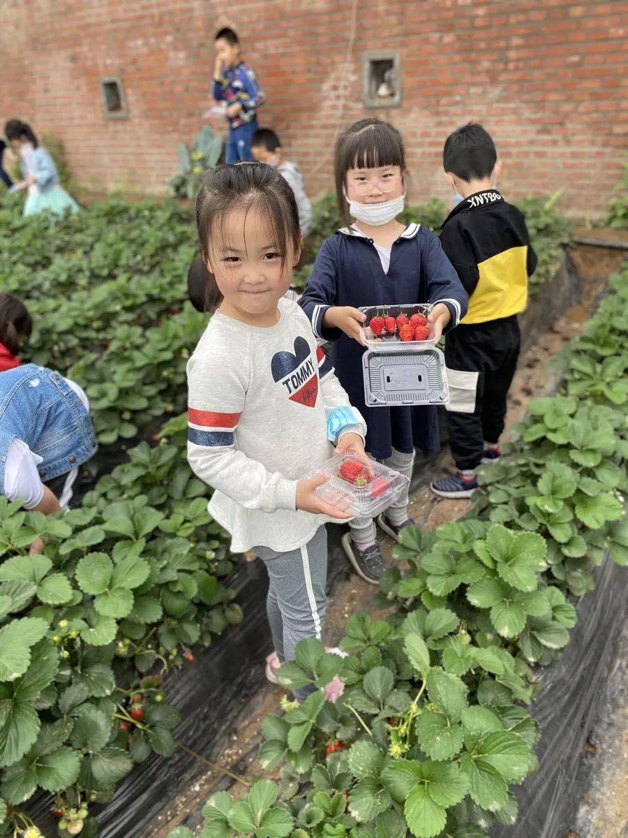 涡阳天气预报更新，自然美景探索之旅启程！