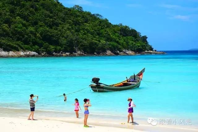 泰金服最新动态，自然美景探索之旅的心灵觉醒