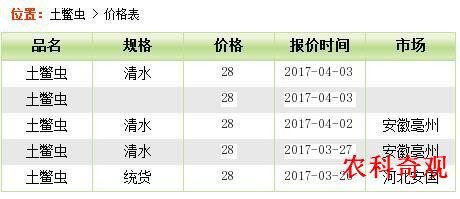 时代变迁中的市场地位，土元的最新价格探讨