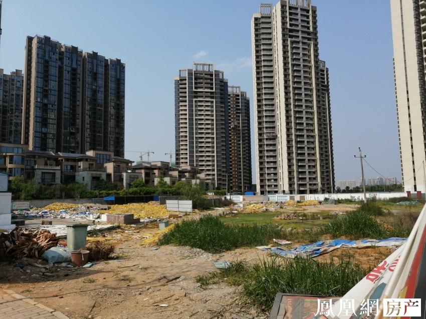 星汇绿洲最新房价信息汇总🏠💼