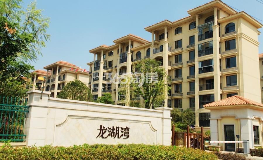 息县龙湖湾最新房价探秘，小巷深处的隐藏宝藏房价揭秘