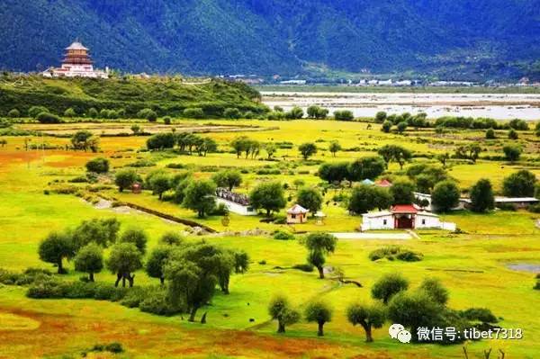 仁智股份，自然美景探索之旅，心灵远离尘嚣的启程
