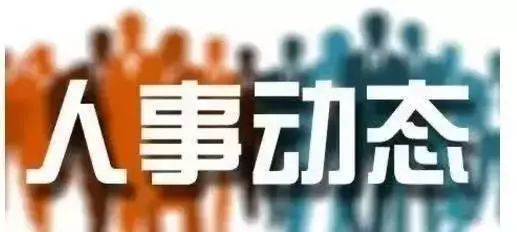 红河州最新干部任免,红河州最新干部任免动态