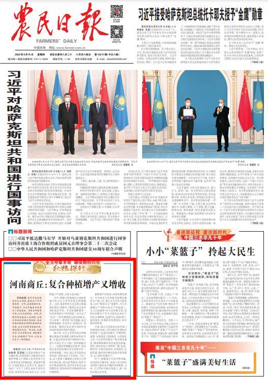 商丘玉米价格最新行情及分析概览