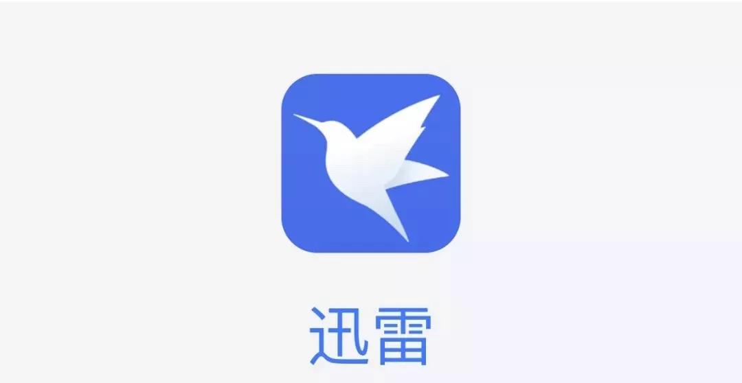 迅雷下载最新版本，拥抱变化，成就梦想之选